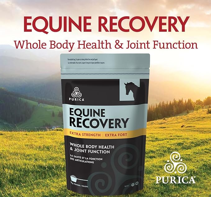 PURICA Equine Hyaluronic Acid - Horse Joint Support Supplement with Glucosamine, MSM Powder, Betaine, Magnesium, Vitamin C and E - Green Tea and Grape Seed Extract - Horse Supplies and Treats