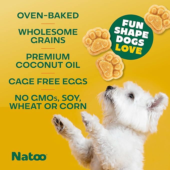 NATOO Biscuits for Small Dogs & Puppies - Crunchy Treats Coconut & Mango – Healthy Natural Dog Biscuits, Rich in Omega 6, Prebiotics & Fiber, Antioxidants for Immunity (8 oz)