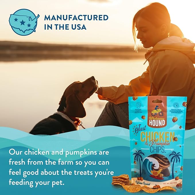 Chicken & Pumpkin Chips – Single Ingredient Dog Treats, All Natural & Healthy Training Snacks for Small, Medium & Large Breeds, Puppies – High Protein, 3oz