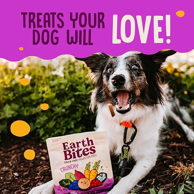 Earthborn Holistic EarthBites Crunchy Grain-Free Dog Treats with Lamb 10 oz