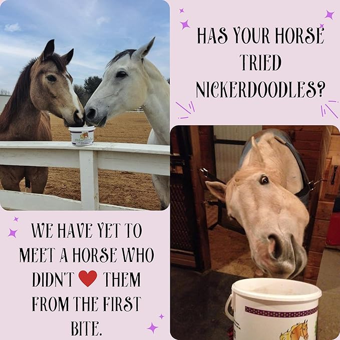 Horse Treats - 1 lb Pail - Effortlessly Give Medications with Our Soft Baked Treats - Training Treats are The Perfect Motivator - No Additives or Preservatives