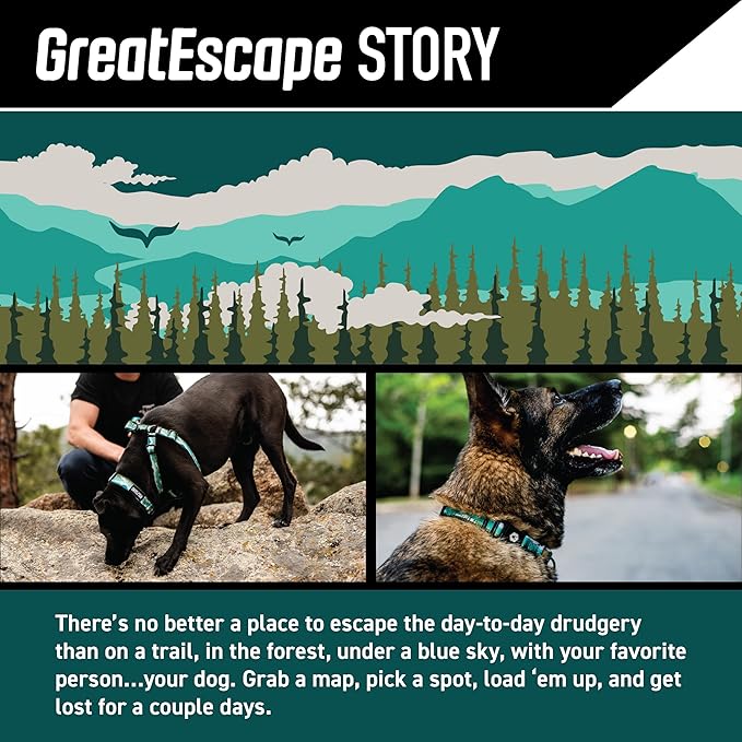 Wolfgang Heavy Duty Adjustable Dog Harness, Pull-Tested for Walking & Training, GreatEscape Print, Small