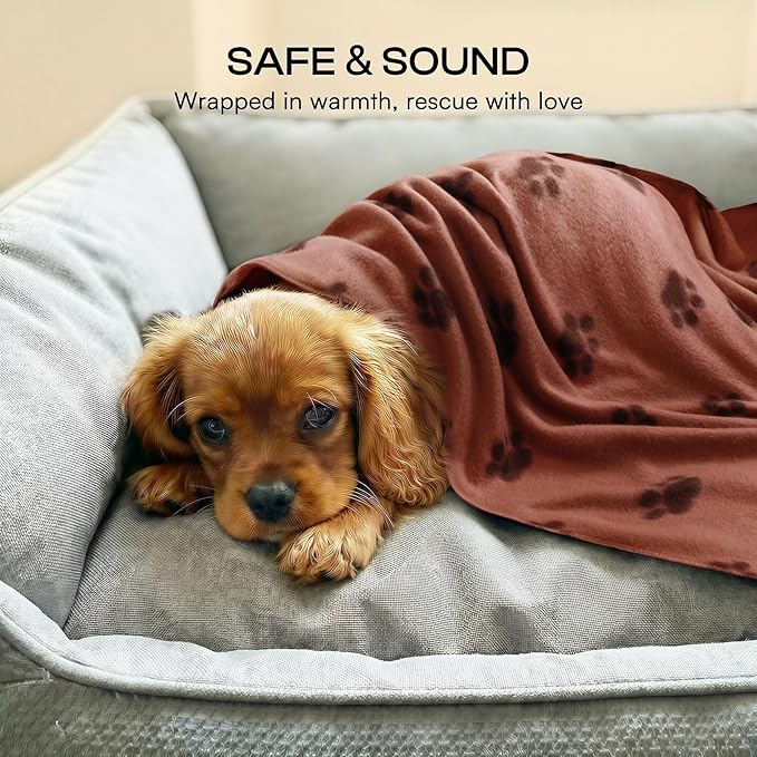 LINENLUX Cute Dog Blanket for Small Medium Dogs 6-Pack Soft Stretchy Fleece Blankets for Pet Cat Puppy Warm Wrinkle-Resistant Throw for Couch Bed Outdoor Coffee 31x24 inch (Pack of 6)