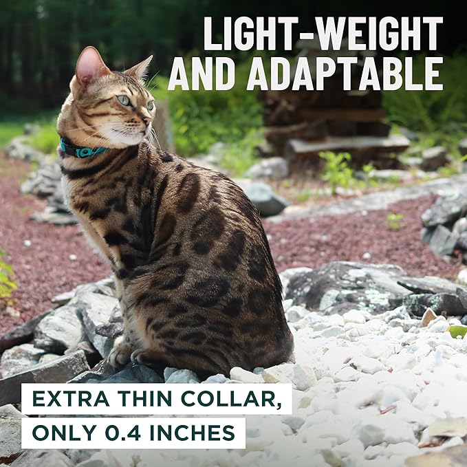 OutdoorBengal Red Cat Collar Breakaway with Soft Padding for Medium to Large Cats - Durable Heavy Duty Tactical Fabric, Comfortable, Quick Release Breakaway Cat Collars, No Bell Collar (Red, Adult)