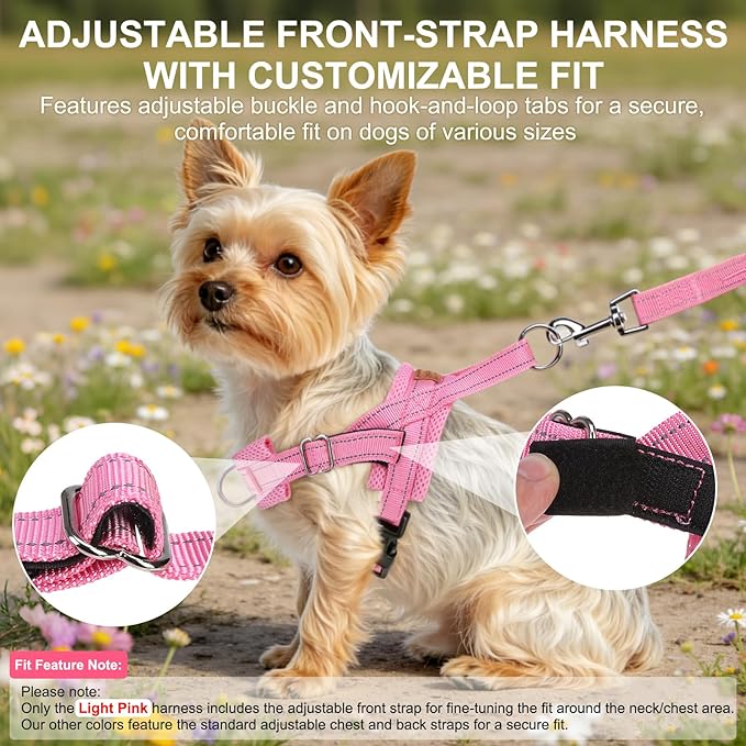 BEAUTYZOO Dog Harness Small Sized Dogs,2.0 Upgraded No Pull Front Adjustable Dog Harness and Leash Set,Escape Proof Soft Puppy Vest with Handle,Reflective Lightweight Step in Harness for Girl Boy Dogs