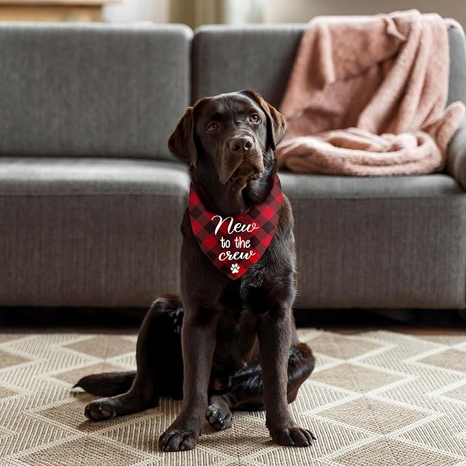 New Puppy Announcement Dog Bandana, Adopted Puppies Reveal Gift for Owner, Dogs Birthday Supplies Gifts, Triangle Bibs Scarf for Medium Pets (Red)