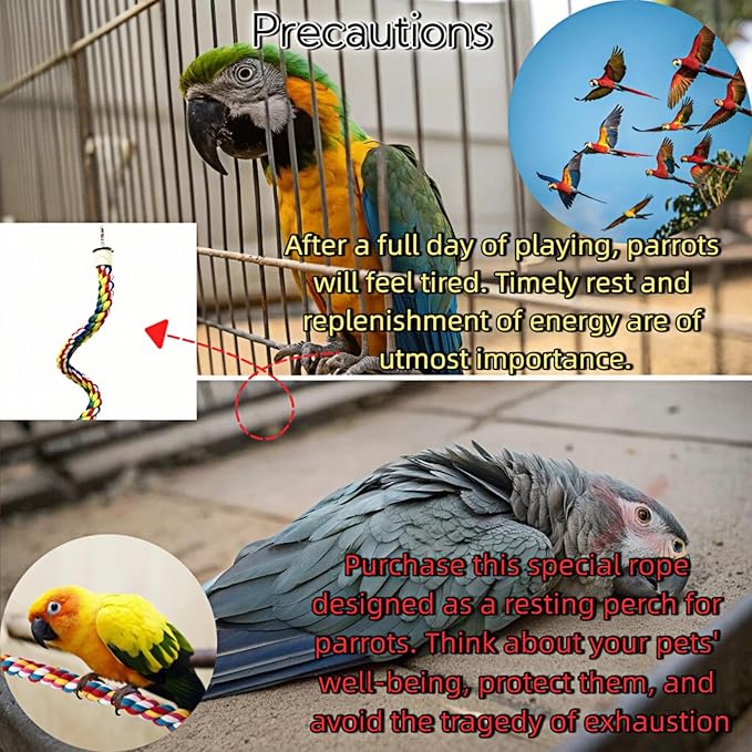 Bird Rope Perches, Parrot Toys, Bungee Rope Perches for Parrots, Cockatiels, Parakeets, Budgie Cages Comfy Birds (Metal Nut) - 41.34 inches