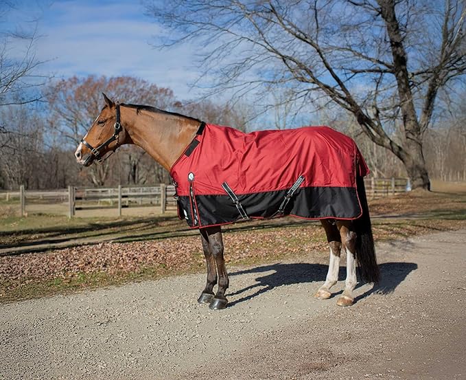 Equinavia Norse Lightweight 100g Fill Horse Rain Blanket | Waterproof Turnout Sheet - Black - 66 in - Equestrian Red - 69 in