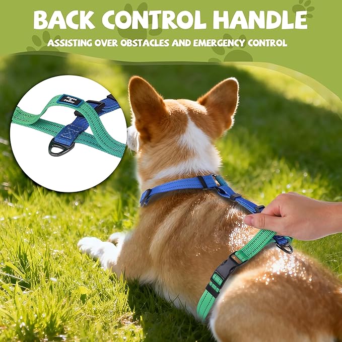 Roses&Poetry Dog Harness for Large Dogs, 6 Point Adjustable Fit No Pull Harness with Handle for Control and Easy Walking, Reflective Pet Halter Harnesses（Bluegreen-L）