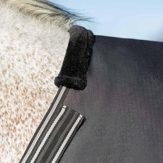 Equinavia Norse Lightweight 100g Fill Horse Rain Blanket | Waterproof Turnout Sheet - Black - 66 in - Black - 66 in