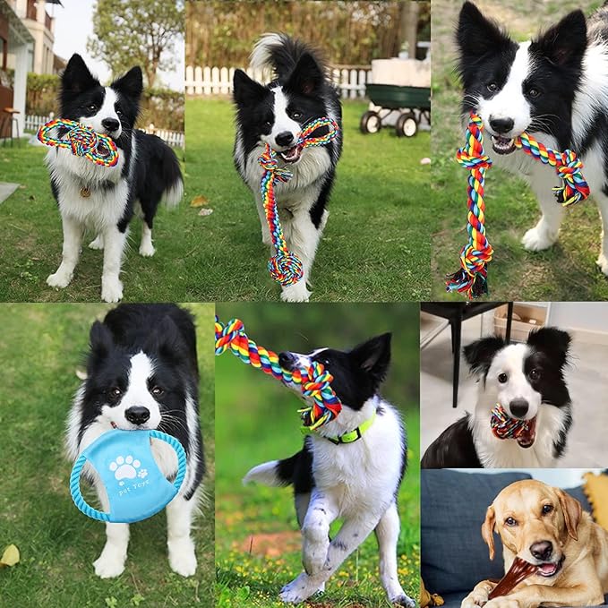 Dog Toys for Aggressive Chewers 13 Pack，Indestructible Tug of War Toys for Small, Medium, Large Dog Breeds, Teeth Cleaning Chew Toys Pet Interactive Rope Toys
