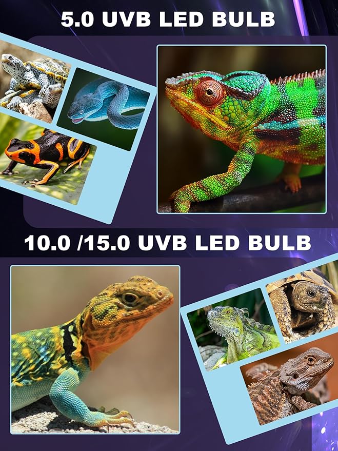 LED UVB Light for Reptiles, 5W 15.0 LED UVA UVB Lamp, Reptile UVB Bulb for Bearded Dragon Lizard Gecko Snake Turtle, Provide Sufficient UVB Exposure Tropical & Desert Reptiles