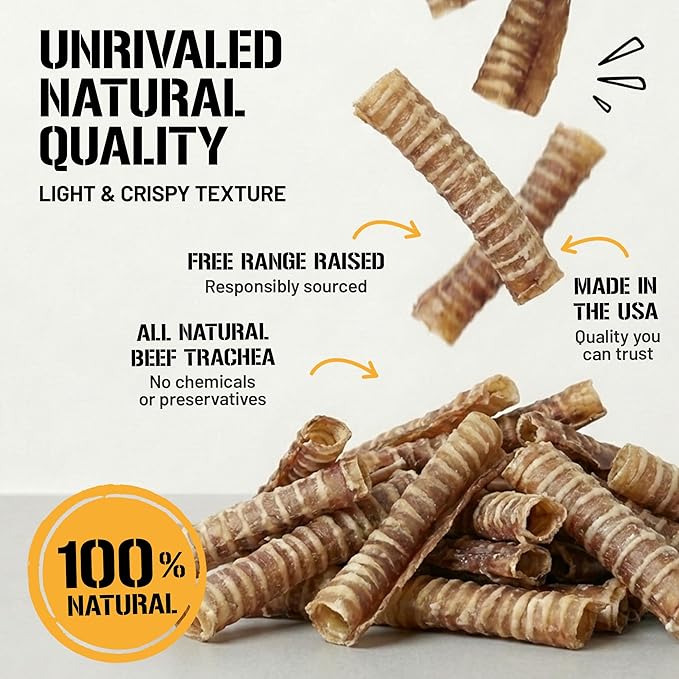 Dog Chits Beef Trachea for Dogs 1lb - 100% Single Ingredient, High Protein, Low Fat - Glucosamine for Joint Support - Dental-Clean Crunch - Digestible Rawhide-Free, Trachea Dog Treats - 3-4 inch