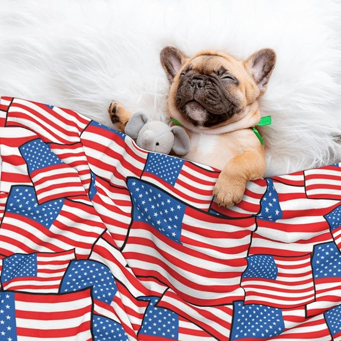 Two Sided Plush Pet Blanket for Crates Carriers Home Use, Novelty American Flag, Reversible Throw with Cozy Dot Fabric and Silky Reverse for Small Large Pets
