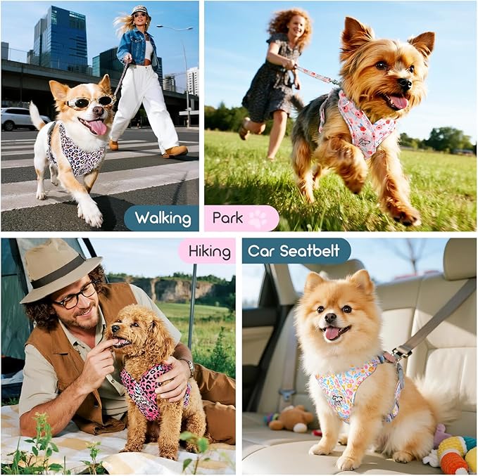 Pawaboo Small Dog Harness and Leash Set, Puppy Harness X-Frame No Pull No Choke, Dog Vest Harnesses Adjustable for Small Medium Sized Dogs,Soft Breathable Pet Harnesses, S, Colorful Leopard