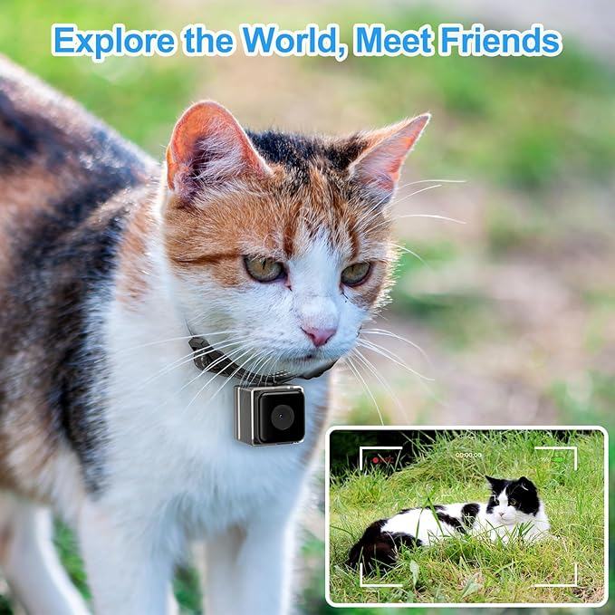 KinetCam Cat Camera Collar,No APP No WiFi Needed Cordless Cat Collar Camera with Video Record, M-Size Collar for Dogs/Big Cats,Pet Collar Camera Outdoor,Camera for Cat Collar(NO SD Card Included)
