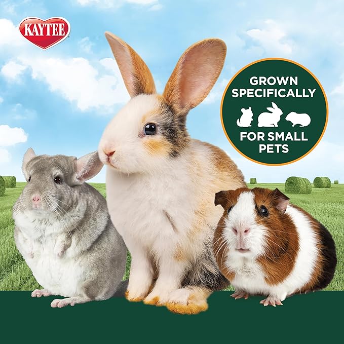 Kaytee First Cut Timothy Hay, High Fiber, Grown Specifically for Small Animals, Rabbits, Guinea Pigs, Chinchillas, 6.5 Pounds