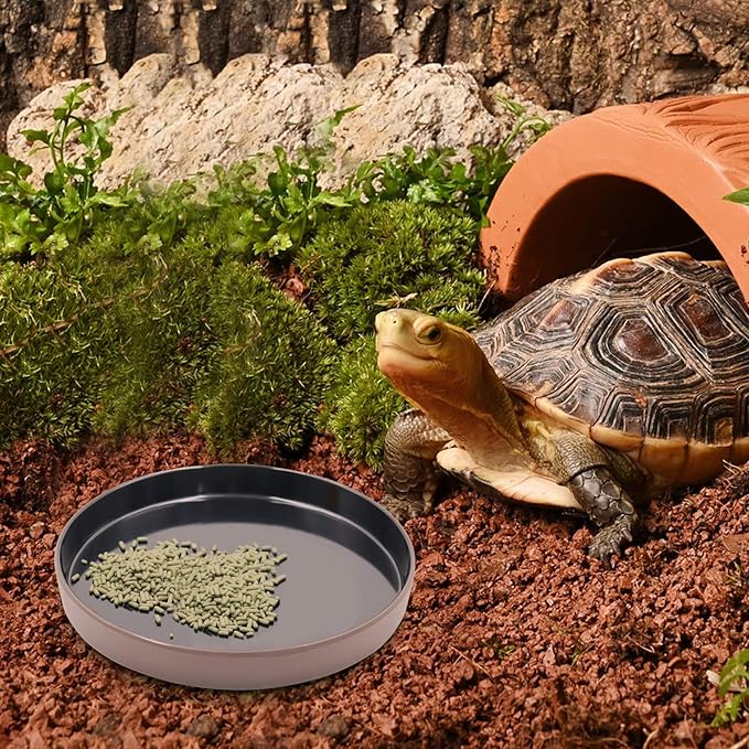 Reptile Feeder Kit, Food Water Bowl, Plastic Round Tortoise Feeding Dish, Amphibian Feeding Bowl, Tank Terrarium Accessories for Bearded Dragon Snake Hermit Crab Turtle Lizard Chameleon - 8 × 8 × 1"