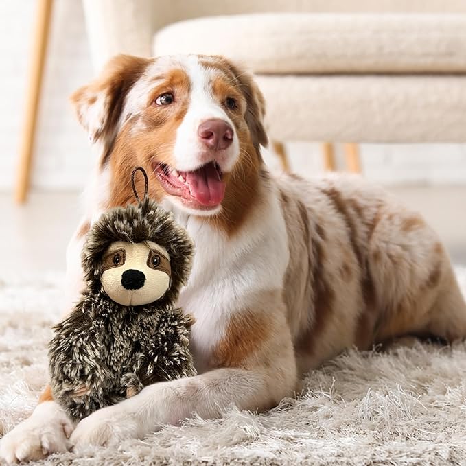 Sloth Dog Toy with Squeaker | Medium Toy Small Dogs | Plush Dog Toy | Multicolor | 6" | Officially Licensed