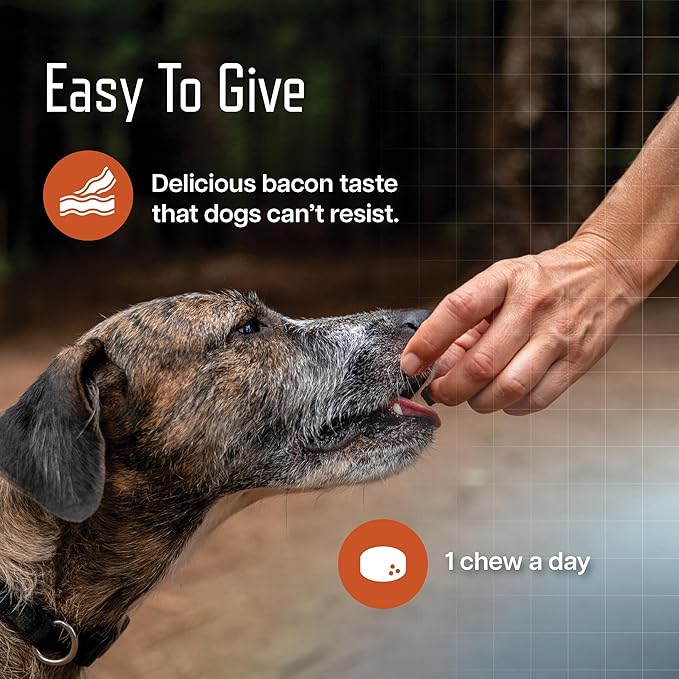 URSOLYX Soft Chews for Dogs | Muscle Health Support for Senior, Active or Recovering Dogs, Small | 120 Count 4-Month Supply