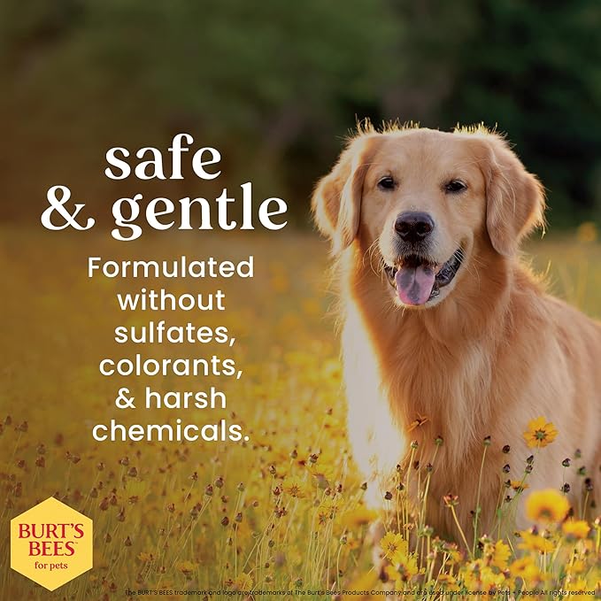 Burt's Bees for Pets Dog Paw and Nose Lotion with Rosemary and Olive Oil, Moisturizing Paw Balm for Dry Cracked Pads and Dog Nose Butter Moisturizer, Paw Lotion for Dogs Skin Care, 4 Fl Oz - 24 Pack