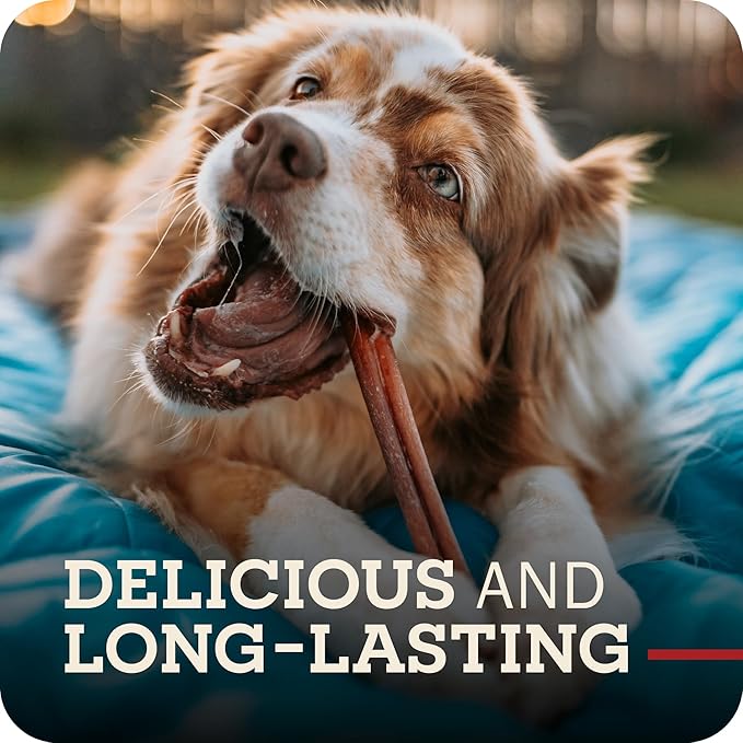Redbarn Pet Products Naturals 200005 Odor Free Bully Springs Pet Chew Treat 25 Case, One Size