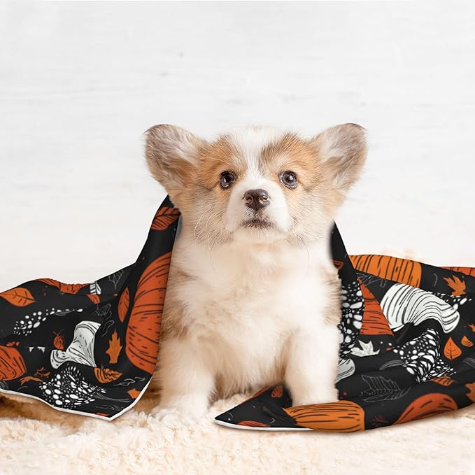 Fall Pumpkins Throw Blanket - Halloween Blanket for Dog Cat Autumn Pet Blankets 23x16 for Couch Sofa Bed