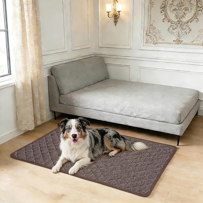 Cooling Mat for Dogs: Waterproof Pet Cooling Mat for Crate Kennel, Summer Indoor Dog Cooling Pad for Floor and Sofa, Dark Grey, Medium Dog