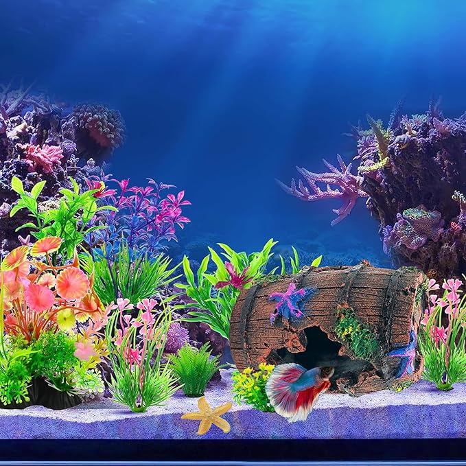 Fish Tank Decoration for Aquarium Tank, Betta Fish Tank Accessories Starfish Barrel x 1pc, Aquarrium Decor Aquatic Plants x 4pcs, Aquarium Decor Starfish x 1pcs.