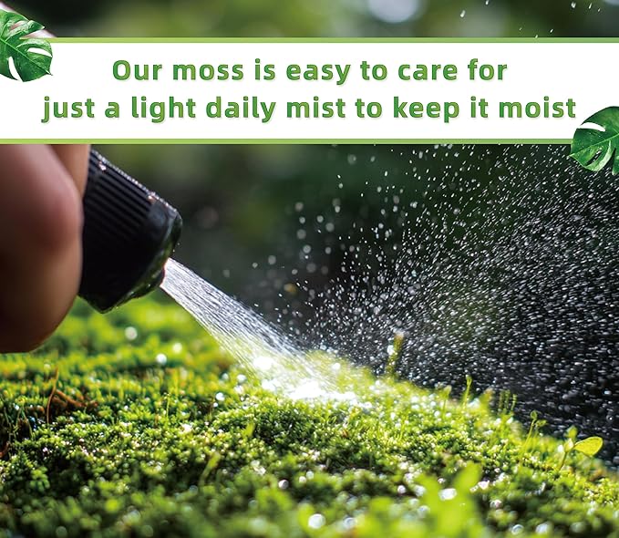 Moss Terrarium Beding Live Moss Terrarium Moss for Reptiles Peat Moss for Reptiles Habitat Bedding Moss for Snakes Turtle Frog Gecko and Other Reptiles Substrate Composite 3