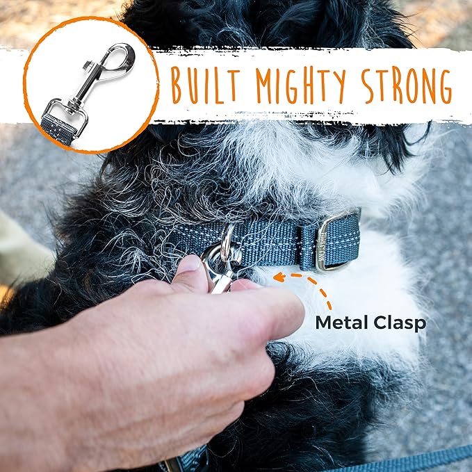 Mighty Paw Double Dog Leash - Double Leash for Two Dogs No Tangle Design. Split Lead for 2 Pets. Adjustable to Fit All Sized Breeds. Reflective Dual Pet Lead for People with Multiple Pups