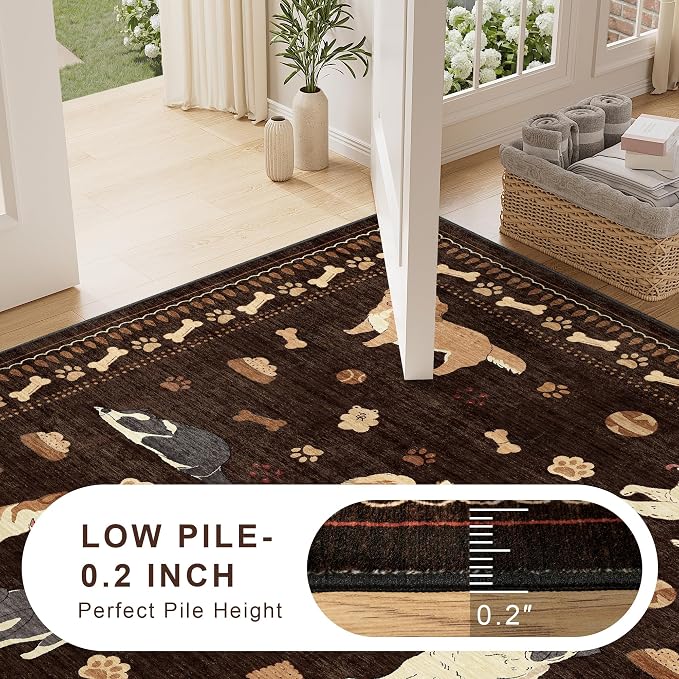 DUKINO 4x6 Area Rug, Non Slip Washable Rug