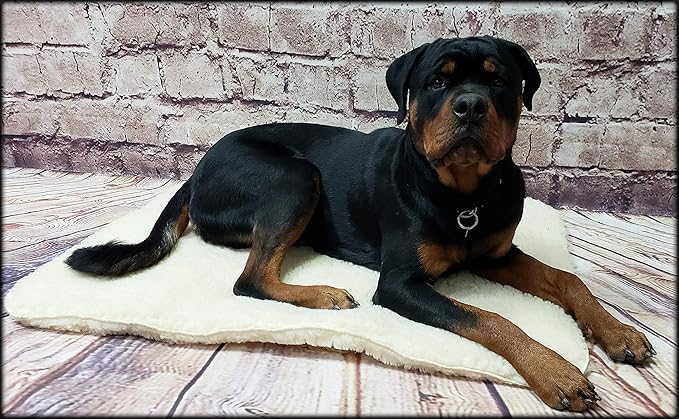 ActiveDogs Hi Loft Faux Lambskin Plush Sherpa Dog Bed - Medium 24"-36" - Orthopedic & Machine Washable - Double Layered