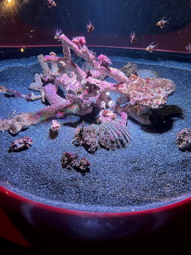 Small World Slate & Stone Natural Coarse Sand Gravel Substrate USA Sourced and Packaged for Aquascaping Planted, Freshwater and Saltwater Tanks - Gravel Size Approx. 1/32" to 1/8" (14 lbs)
