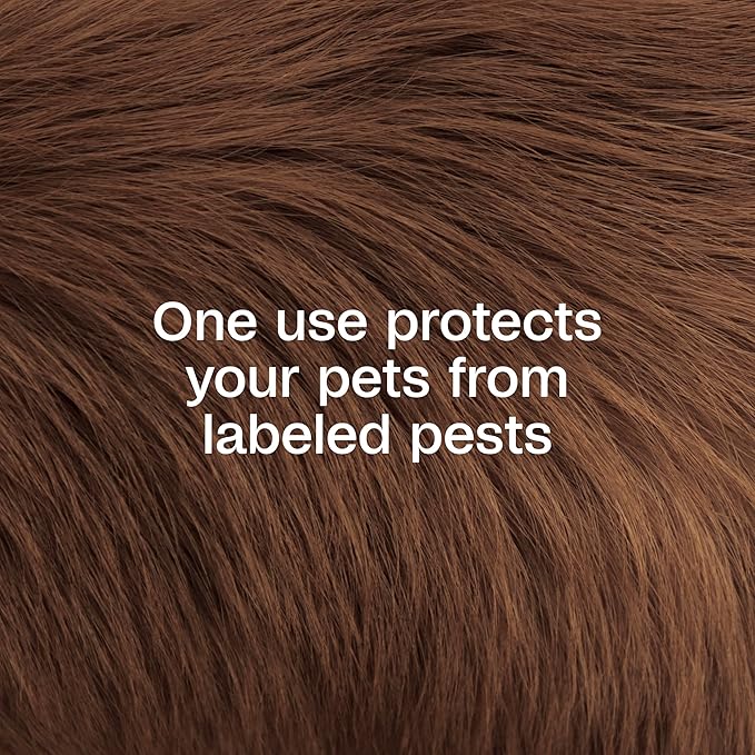 ADAMS Plus Pyrethrin Flea Dip for Dogs and Cats, Kills and Repels Fleas, Ticks, Lice, Gnats, Mosquitoes and Flies, for Dogs, Cats, Puppies, & Kittens, 4 Fl oz