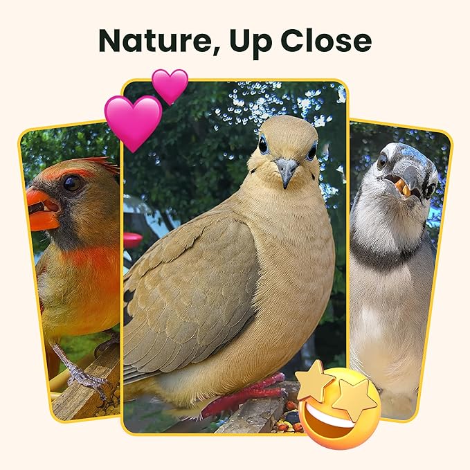 Birdfy Smart Bird Feeder with Camera Solar Powered, Slow-Motion Video & Night Insight, AI Identify 6000+ Species Lifetime Free, Ideal for Outdoors Bird Watching & Gifts for BirdLovers, Wood