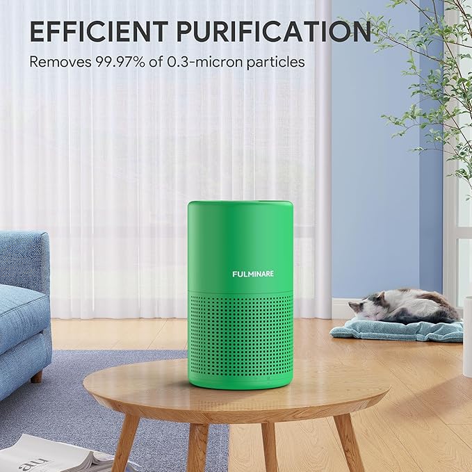 FULMINARE Air Purifiers for Home Bedroom H13 HEPA Air Purifier, 3 Speeds, Timer, 24dB, Small Mini Air Purifier with Night Light, Mint Green