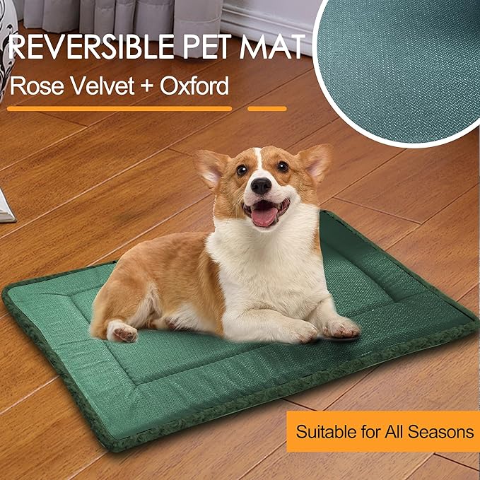 Washable Dog Bed Plush Orthopedic Outdoor Crate Mat with Non-Slip Bottom,Luxe Soft Kennel Pad for Pets,Cozy Cage Cushion & Pet Sleeping Mattress Large Sized,Medium,Small Dogs,36 x 24 inch,Green