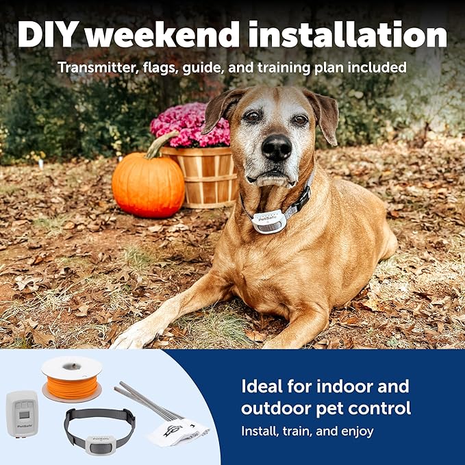 PetSafe Classic In-Ground Fence In Ground Cat Fence, Underground Dog Containment System Expandable Up to 5 Acres, Digital LCD Screen, 8 Different Collar Settings, Invisible, Pet Training