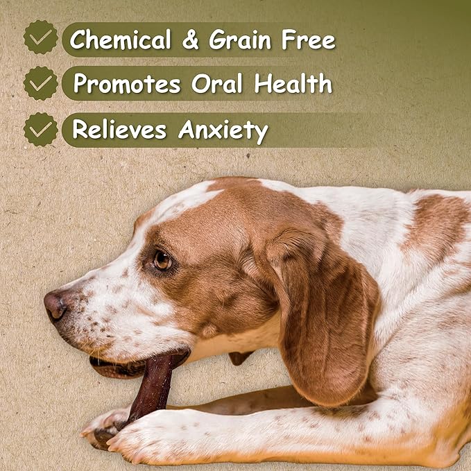 Top Dog Chews - Thick 6 Inch Bully Sticks, 100% Natural Beef, Free Range, Grass Fed, High Protein, Supports Dental Health & Easily Digestible, Dog Treat, (12 Pack)