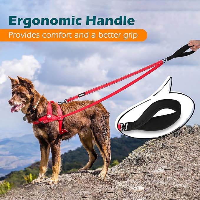 PetBonus Two Point Control Dog Leash, Works with No Pull Harnesses, No Tangle Training Leashes, Soft Padded and Reflective Walking Lead, Converts to Single Lead for Medium Large Dogs (Red)