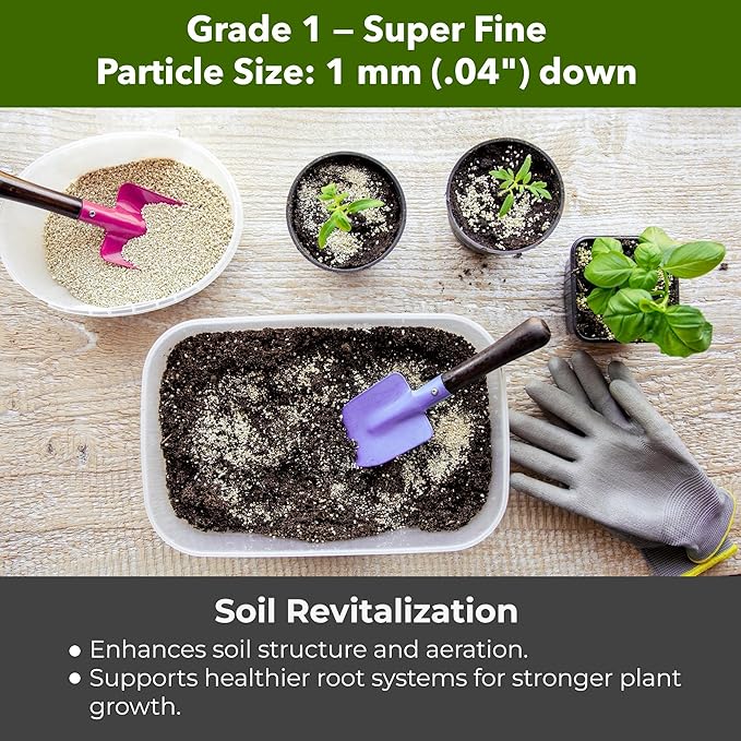 Organic Superfine Vermiculite for Indoor Gardening Plants and Mushrooms – Enhances Soil Aeration, Seed Germination, Rooting Cuttings – Small Packages and Bulk (Vermiculite Grade 1 - Superfine, 1 qt)