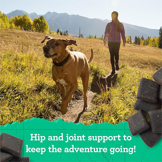 Zuke’s Hip and Joint Support Dog Treats for Adult Dogs of All Sizes, Senior Dog Treats made with Real Chicken, 16 oz. Resealable Pouch - 16 oz. Bag