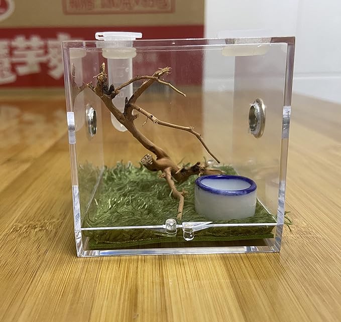 Spider Terrarium, Acrylic Reptile Breeding Box Jumping Spider Enclosure with Dropper Tongs Snail cage, Cricket Enclosure arboreal Tarantula Habitat