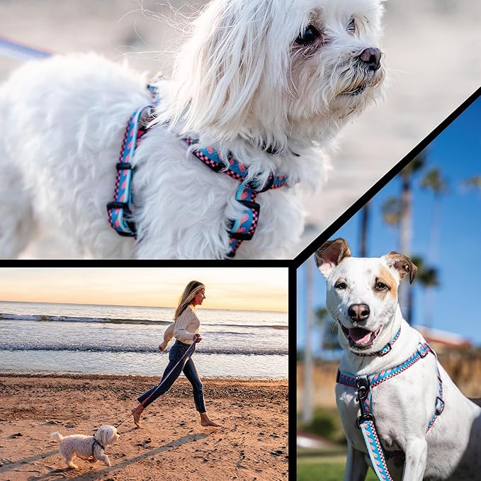 Wolfgang Heavy Duty Adjustable Dog Harness, Pull-Tested for Walking & Training, BuenaOnda Print, Large