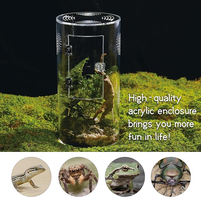 Acrylic Terrarium for Reptiles & Spiders – Small/Medium/Large Leak-Proof Enclosure (Horizontal/Vertical) | Ideal for Tarantulas, Jumping Spiders, Frogs & Geckos(Large Round)