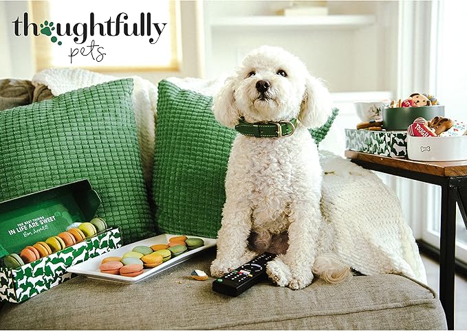 Thoughtfully Pets, Blue Dog Birthday Cookie Gift Set, Hand Decorated Crunchy Dog Treats in Bone Shapes, Great for Birthdays, Set of 8