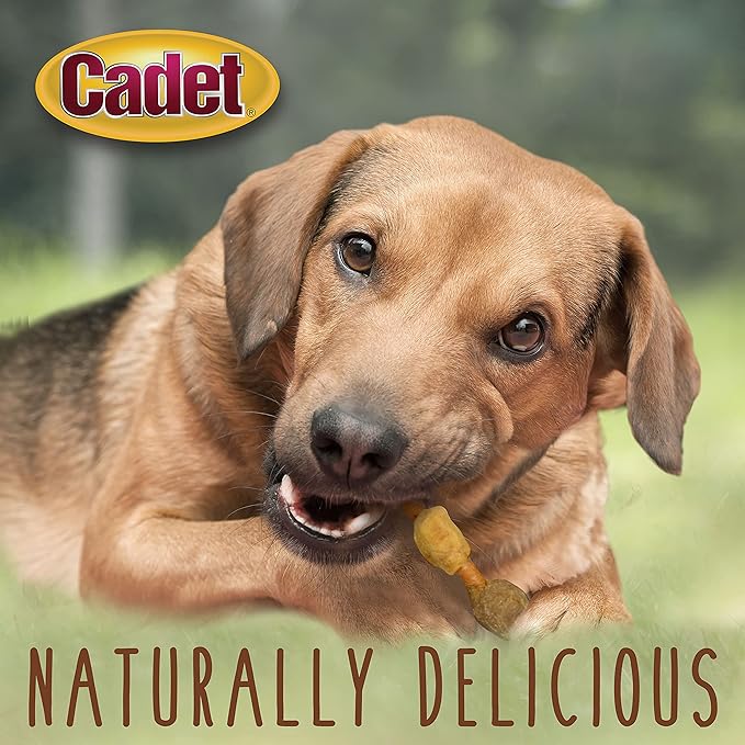 Cadet Gourmet Shish Kabob Dog Chews for Small Dogs, Rawhide Treats with Chicken, Duck and Sweet Potato, Healthy & Natural Pork Hide, 5-Inch Sticks, 24 oz.