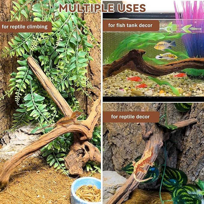 BNOSDM 2PCS Snake Climbing Branches,Reptile Natural Coral Driftwood Branches Decor,Lizard Habitat Decoration Accessories, Terrarium Tree Trunk Ornament for Bearded Dragon Gecko Frog Chameleon Spider