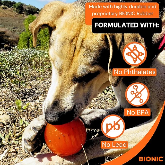 BIONIC Ball Dog Toy, Large - Interactive Dog Chew Toy That Stands Up to The Toughest Chewers, for Dogs Between 30-60+ lbs. (13-27+ kg.)